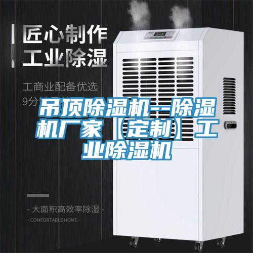 吊頂91看片网站--91看片网站廠家【定製】工業91看片网站