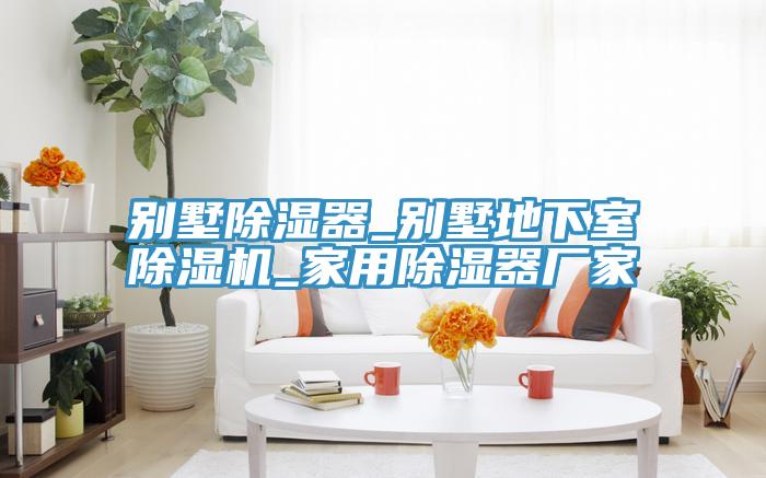 別墅除濕器_別墅地下室91看片网站_家用除濕器廠家