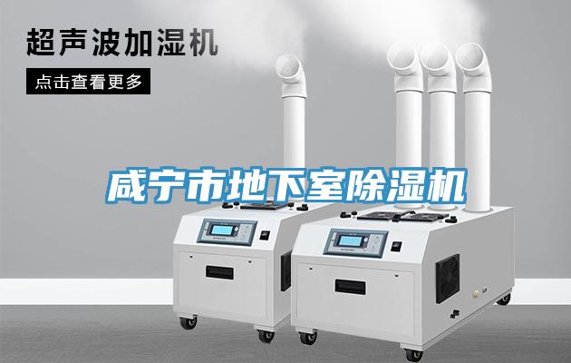 鹹寧市地下室91看片网站