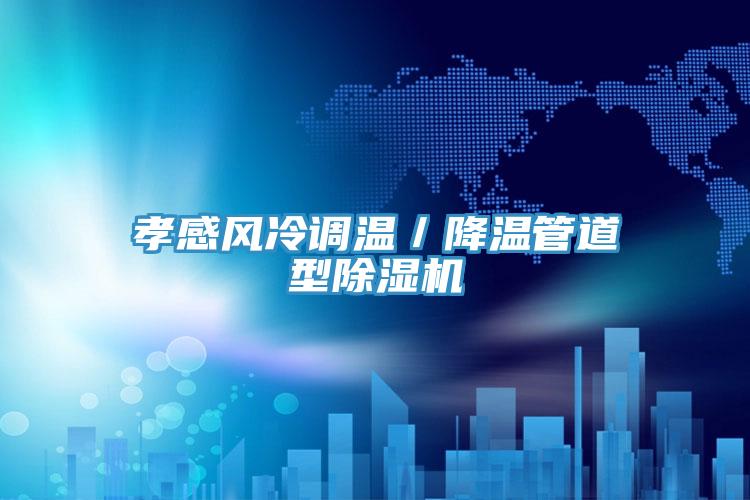 孝感風冷調溫／降溫管道型91看片网站