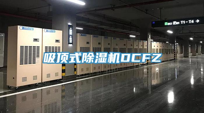 吸頂式91看片网站DCFZ