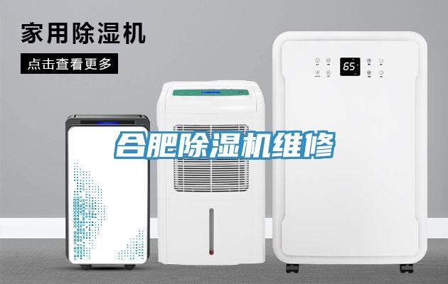 合肥91看片网站維修