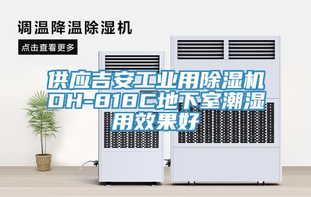 供應吉安工業用91看片网站DH-818C地下室潮濕用效果好