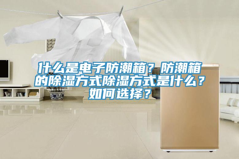 什麽是電子防潮箱？防潮箱的除濕方式除濕方式是什麽？如何選擇？