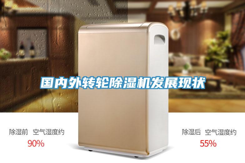 國內外轉輪91看片网站發展現狀