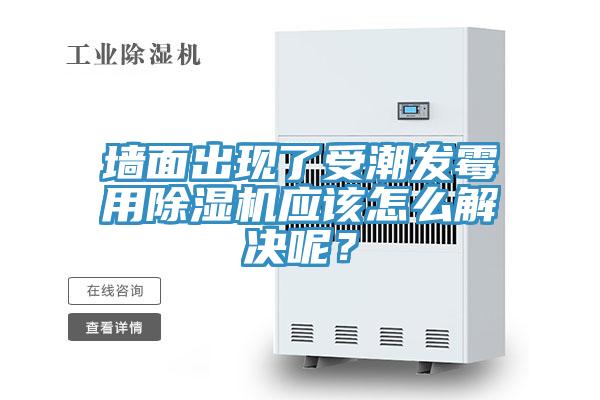 牆麵出現了受潮發黴用91看片网站應該怎麽解決呢？