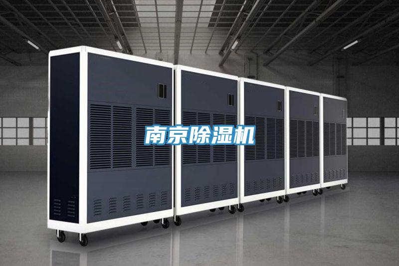 南京91看片网站