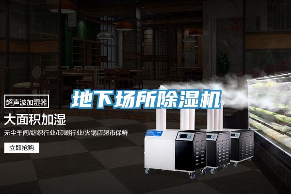 地下場所91看片网站
