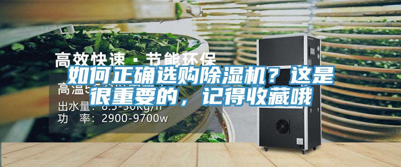 如何正確選購91看片网站？這是很重要的，記得收藏哦