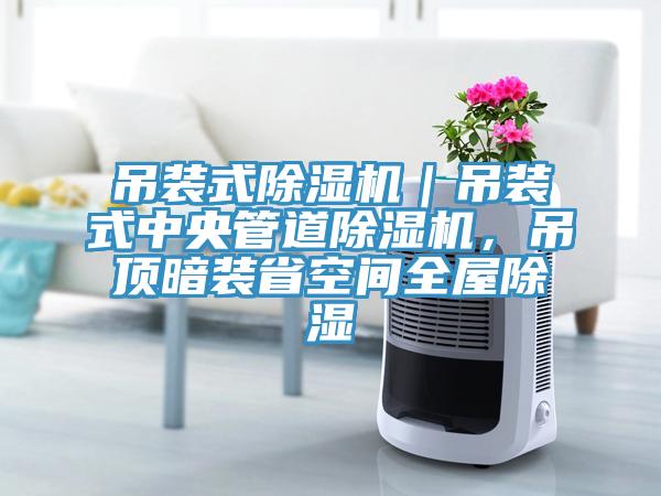 吊裝式91看片网站｜吊裝式中央管道91看片网站，吊頂暗裝省空間全屋除濕