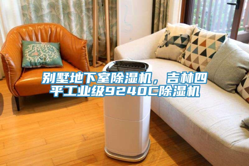 別墅地下室91看片网站，吉林四平工業級9240C91看片网站