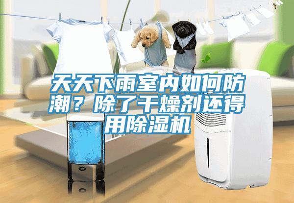 天天下雨室內如何防潮？除了幹燥劑還得用91看片网站