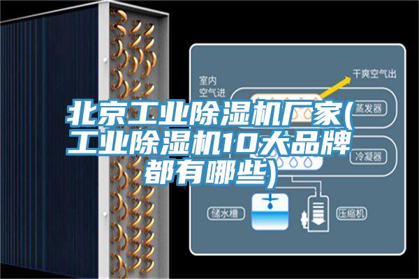 北京工業91看片网站廠家(工業91看片网站10大品牌都有哪些)