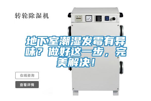 地下室潮濕發黴有異味？做好這一步，完美解決！