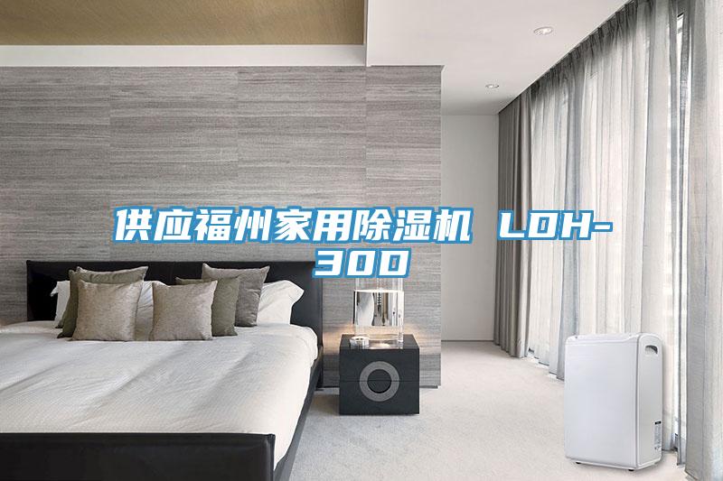 供應福州家用91看片网站 LDH-30D