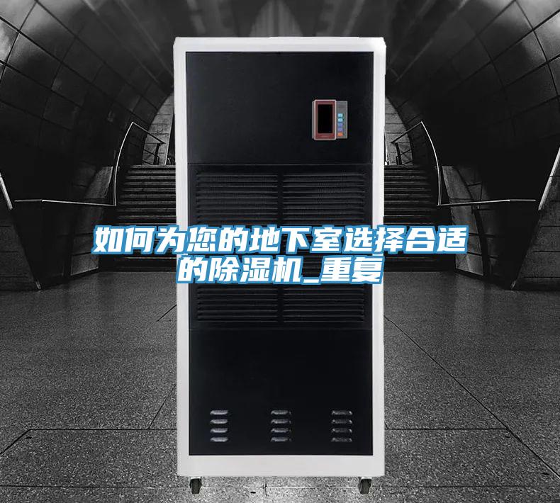 如何為您的地下室選擇合適的91看片网站_重複