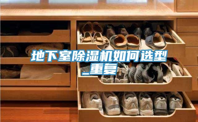 地下室91看片网站如何選型_重複