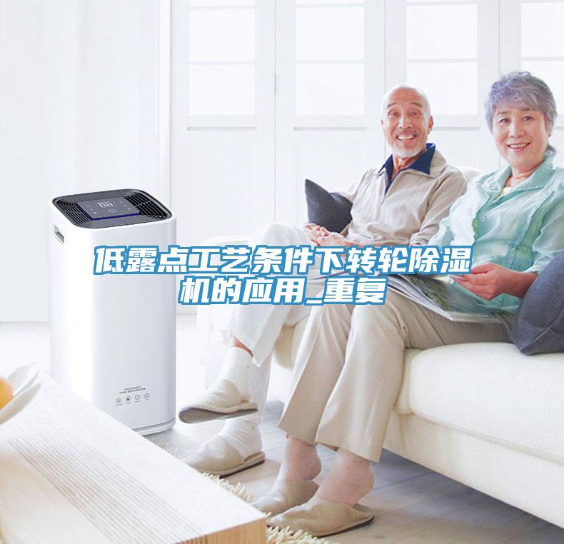 低露點工藝條件下轉輪91看片网站的應用_重複