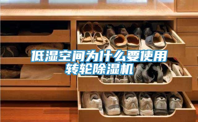 低濕空間為什麽要使用轉輪91看片网站