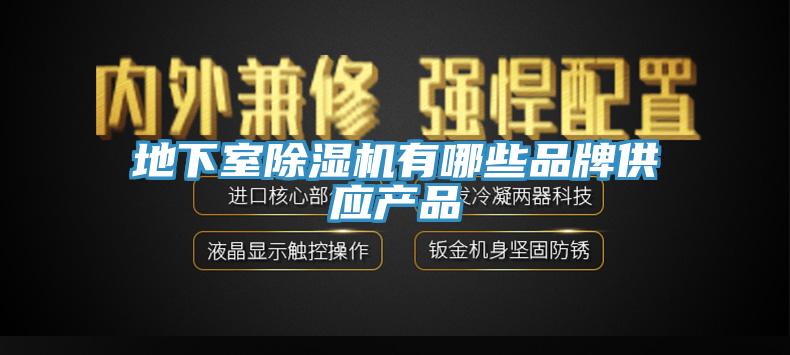 地下室91看片网站有哪些品牌供應產品