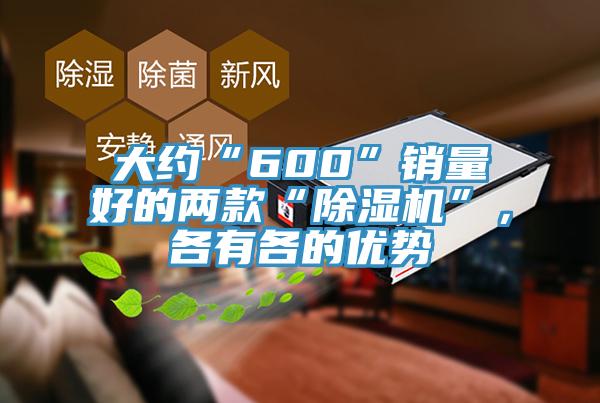 大約“600”銷量好的兩款“91看片网站”，各有各的優勢