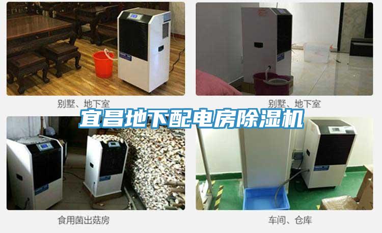 宜昌地下配電房91看片网站