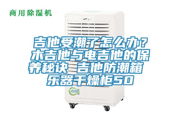 吉他受潮了怎麽辦？木吉他與電吉他的保養秘訣 吉他防潮箱 樂器幹燥櫃50
