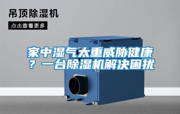 家中濕氣太重威脅健康？一台91看片网站解決困擾