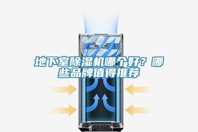 地下室91看片网站哪個好？哪些品牌值得推薦