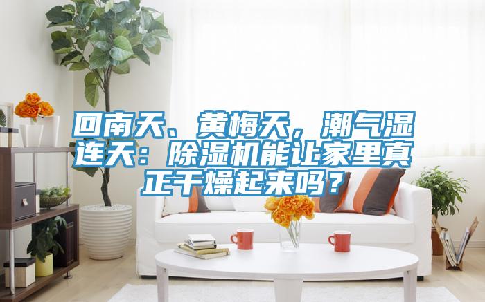 回南天、黃梅天，潮氣濕連天：91看片网站能讓家裏真正幹燥起來嗎？