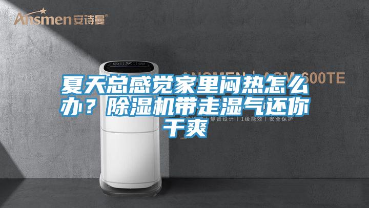 夏天總感覺家裏悶熱怎麽辦？91看片网站帶走濕氣還你幹爽
