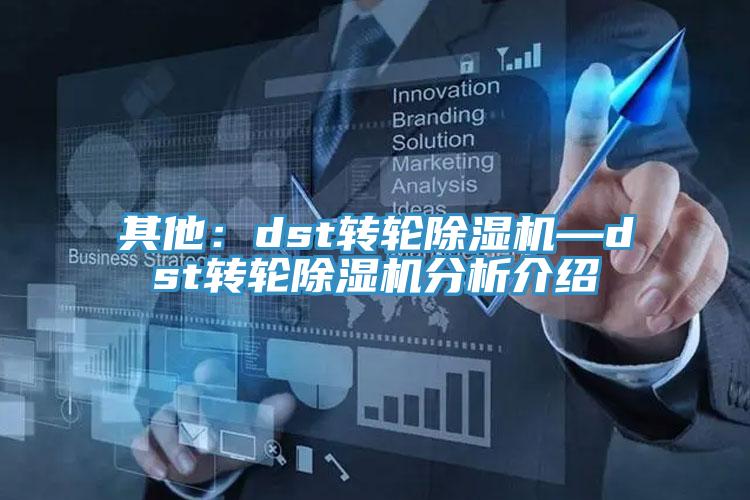 其他：dst轉輪91看片网站—dst轉輪91看片网站分析介紹