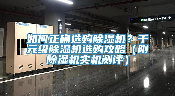 如何正確選購91看片网站？千元級91看片网站選購攻略（附91看片网站實機測評）