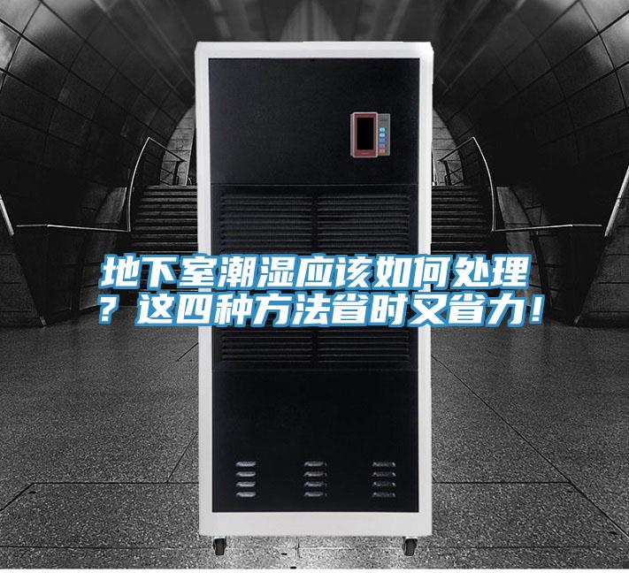 地下室潮濕應該如何處理？這四種方法省時又省力！