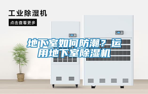 地下室如何防潮？運用地下室91看片网站