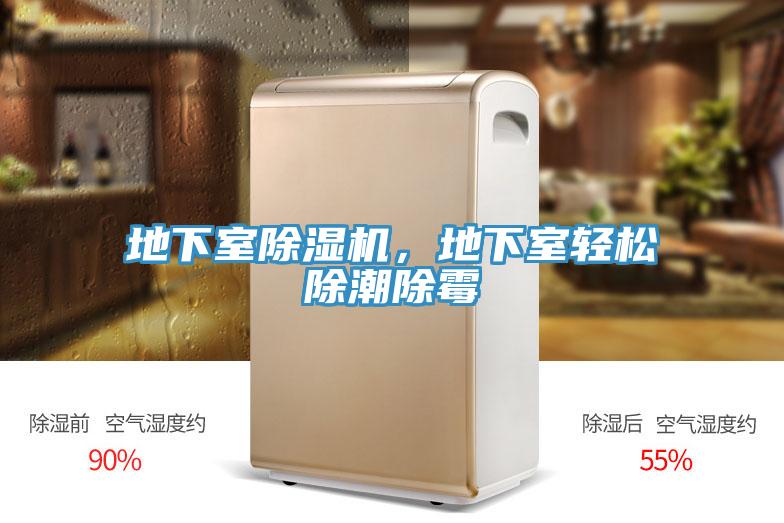 地下室91看片网站，地下室輕鬆除潮除黴