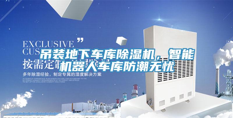 吊裝地下車庫91看片网站，智能機器人車庫防潮無憂