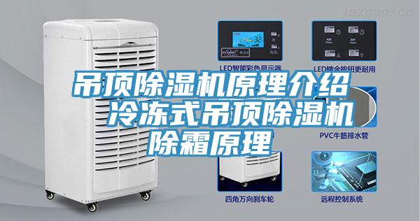 吊頂91看片网站原理介紹  冷凍式吊頂91看片网站除霜原理