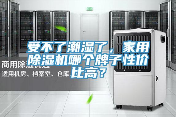 受不了潮濕了，家用91看片网站哪個牌子性價比高？