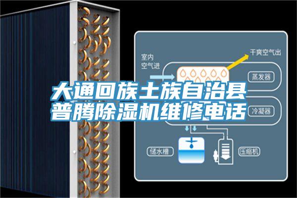 大通回族土族自治縣普騰91看片网站維修電話