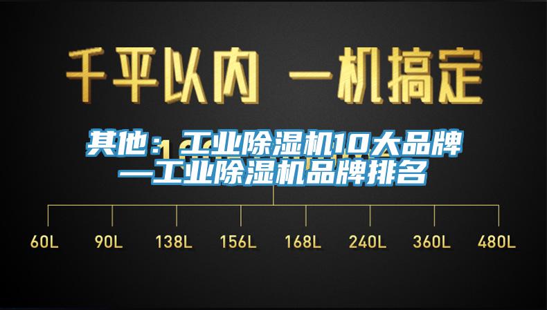 其他：工業91看片网站10大品牌—工業91看片网站品牌排名