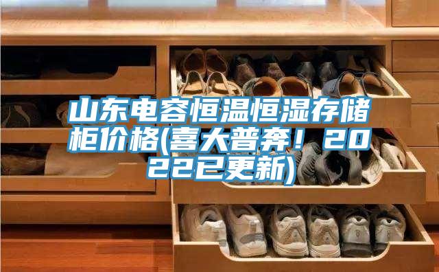 山東電容恒溫恒濕存儲櫃價格(喜大普奔！2022已更新)