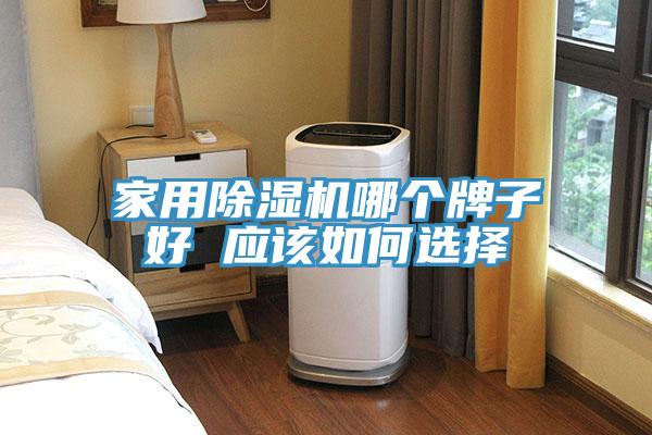 家用91看片网站哪個牌子好 應該如何選擇