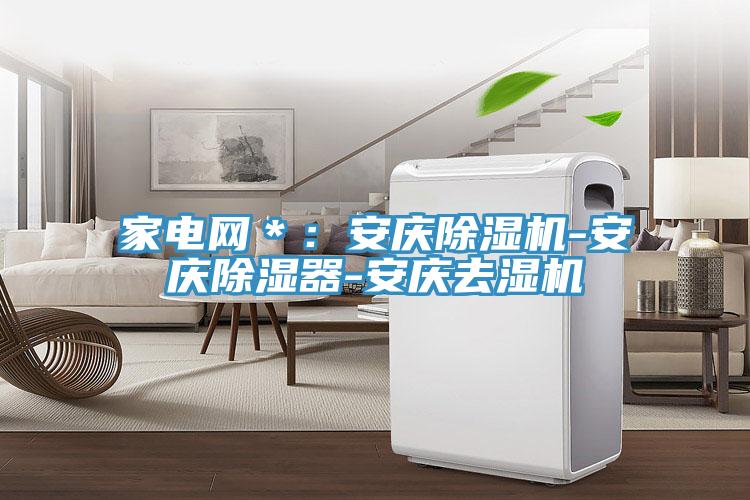 家電網＊：安慶91看片网站-安慶除濕器-安慶去濕機