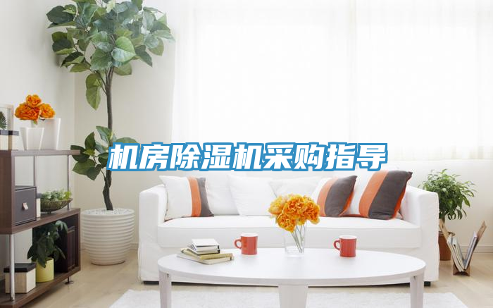 機房91看片网站采購指導