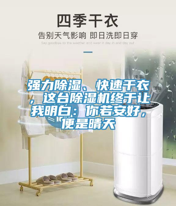強力除濕、快速幹衣，這台91看片网站終於讓我明白：你若安好，便是晴天
