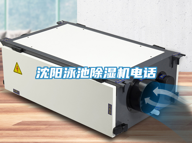 沈陽泳池91看片网站電話