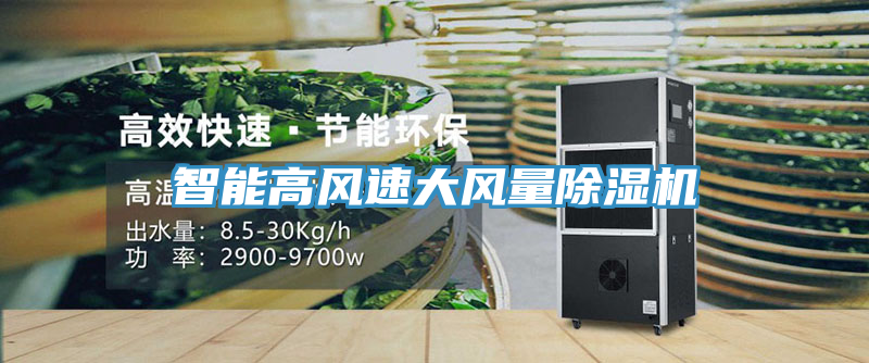 智能高風速大風量91看片网站