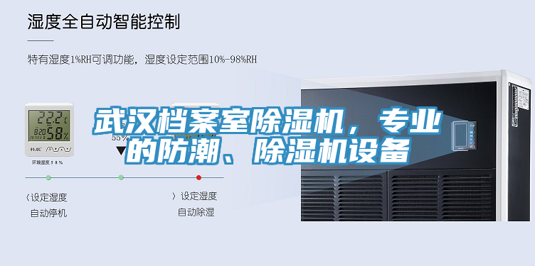 武漢檔案室91看片网站，專業的防潮、91看片网站設備
