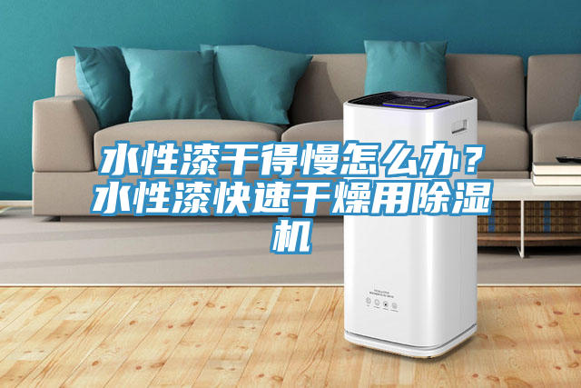 水性漆幹得慢怎麽辦？水性漆快速幹燥用91看片网站